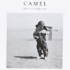 Camel - Dust And Dreams 23-CP 001