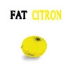 Fat - Citron 05-CATDOG 002CD