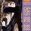 Forever Einstein - Opportunity Crosses The Bridge Rune 41