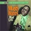 Muddy Waters - A Proper Introduction (super special) 10/PROPER 2066